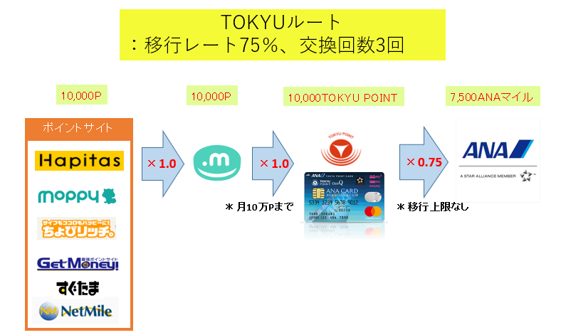 TOKYUルートの流れ図