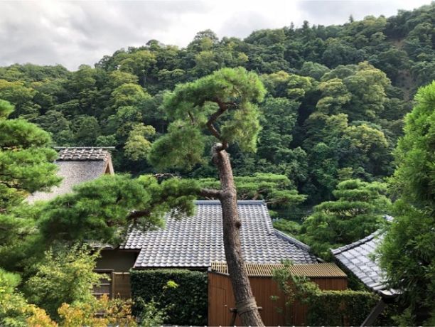 渡月スイートから見える景色