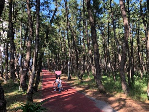 シェラトン宮崎でレンタル自転車してサイクリングした写真