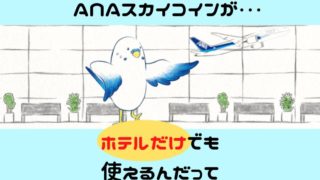 スカイコイン利用方法のアイキャッチ