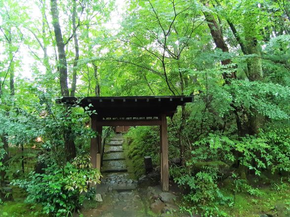 お部屋までの景色