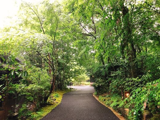 二本の葦束の敷地内風景