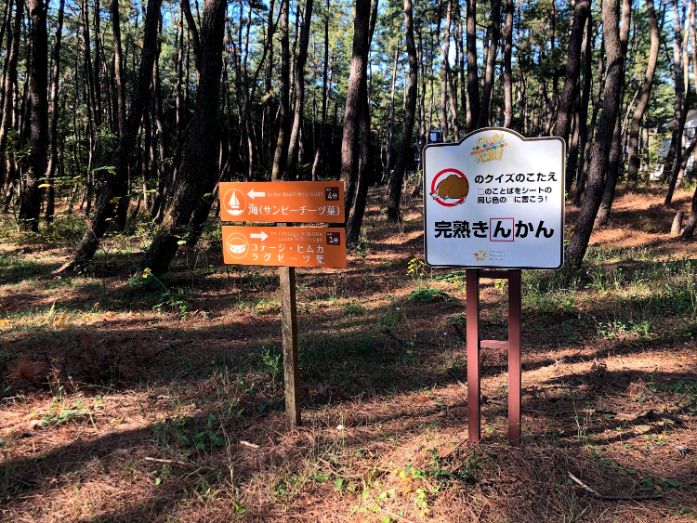 松林のウォーキングコース