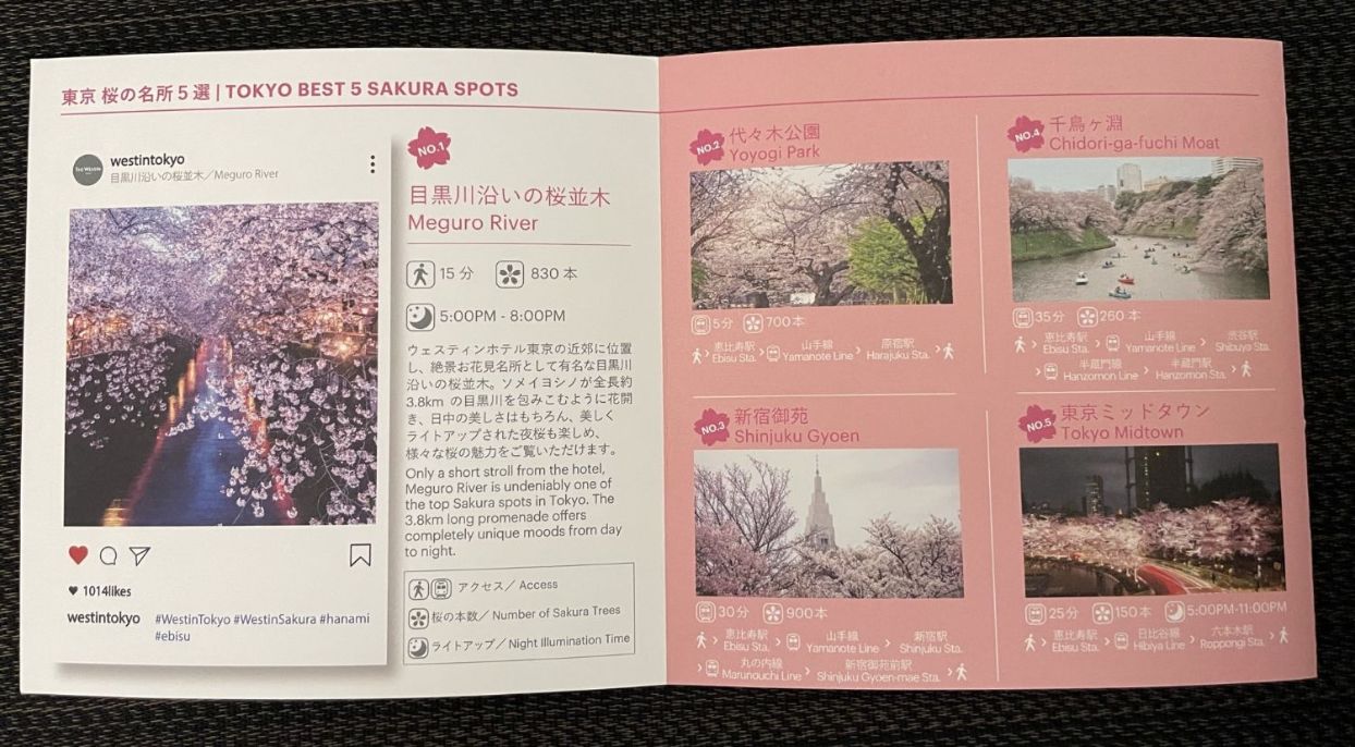 ウェスティン東京桜の案内